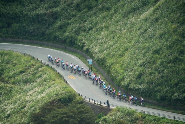 マイナビ ツール・ド・九州2024 熊本阿蘇ステージ🏔️

1級山岳の箱石峠を、もの凄いスピードで登る選手たち😳

昨年は雨の中のレースでしたが、今年は秋晴れの阿蘇の絶景の中を走るレースでした🚲

応援のお客様も多く、昨年より賑やかな雰囲気でした！

関係者の方々、ボランティアスタッフ、交通規制にご協力いただいた皆さま、ありがとうございました🙇‍♂️

- - - - - - - - - - - - - - - - - - - - - - - - - - - - - - - - - -

草原立入はガイド同伴ツアー時のみ。
一般の方の立入はご遠慮願います。

- - - - - - - - - - - - - - - - - - - - - - - - - - - - - - - - - - 

#箱石峠 #サイクルロードレース #マイナビツールド九州 #マイナビツールド九州2024 #ツールド九州2024 #ツールド九州 #ツールド九州熊本阿蘇ステージ #tourdekyushu #mynavitourdekyushu2024 #九州 #阿蘇 #阿蘇市 #阿蘇観光 #草原 #サイクリング #自転車  #アクティビティ #アウトドア #プライベートツアー #熊本 #熊本観光 #阿蘇山の良さを広め隊 #阿蘇写真部 #あそたん 
#あそたんガイドツアーズ#aso #my_aso #asostagram #sdgs #visitkumamoto